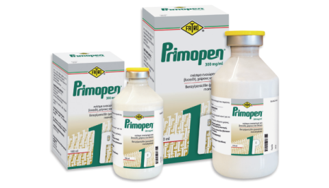 ΝΕΟ ΠΡΟΪΟΝ: PRIMOPEN 300 mg/ml ενέσιμο εναιώρημα προκαϊνούχου πενικιλίνης για βοοειδή, χοίρους και άλογα