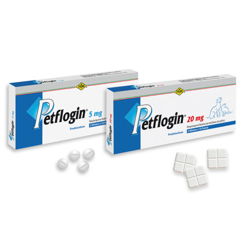 ΝΕΟ ΠΡΟΪΟΝ: PETFLOGIN Δισκία πρεδνιζολόνης 5 mg & 20 mg για σκύλους και γάτες