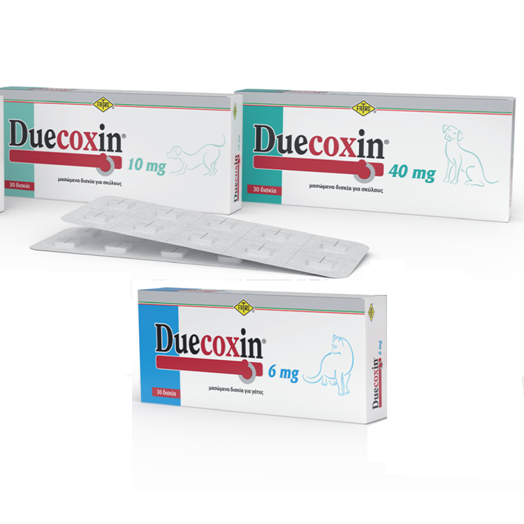 ΝΕΟ ΠΡΟΪΟΝ: DUECOXIN, Μασώμενα και διαιρούμενα δισκία robenacoxib